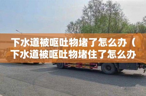 下水道被呕吐物堵了怎么办（下水道被呕吐物堵住了怎么办）