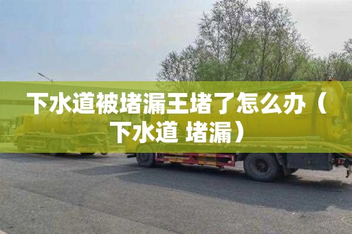 下水道被堵漏王堵了怎么办（下水道 堵漏）