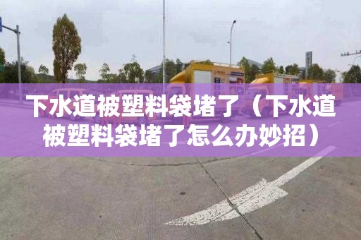 下水道被塑料袋堵了（下水道被塑料袋堵了怎么办妙招）