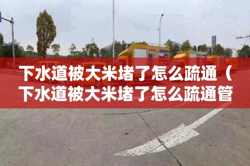 下水道被大米堵了怎么疏通（下水道被大米堵了怎么疏通管道）