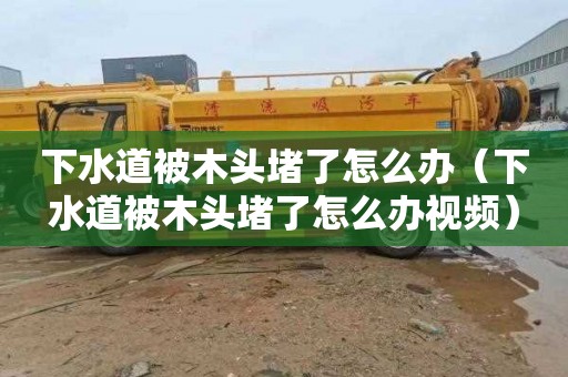 下水道被木头堵了怎么办（下水道被木头堵了怎么办视频）
