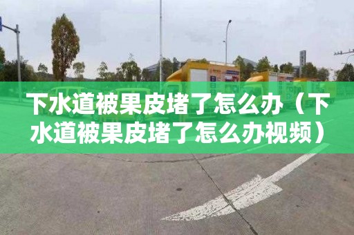 下水道被果皮堵了怎么办（下水道被果皮堵了怎么办视频）