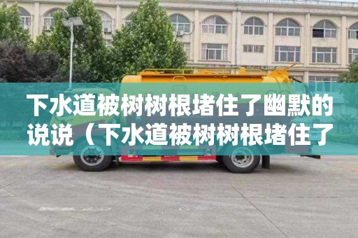 下水道被树树根堵住了幽默的说说（下水道被树树根堵住了幽默的说说图片）