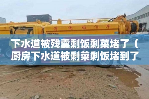 下水道被残羹剩饭剩菜堵了（厨房下水道被剩菜剩饭堵到了）