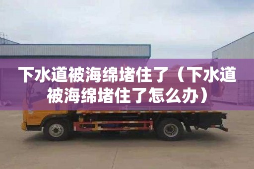 下水道被海绵堵住了（下水道被海绵堵住了怎么办）