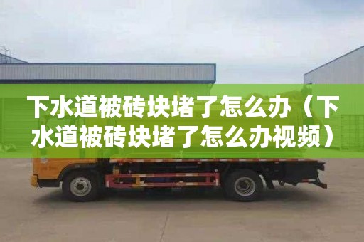 下水道被砖块堵了怎么办（下水道被砖块堵了怎么办视频）