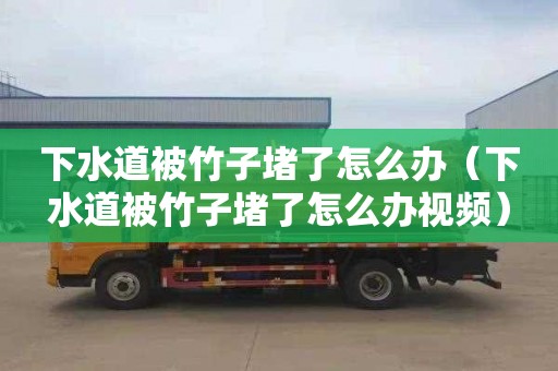 下水道被竹子堵了怎么办（下水道被竹子堵了怎么办视频）