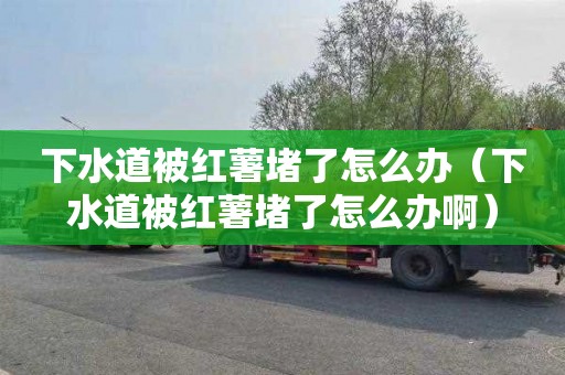 下水道被红薯堵了怎么办（下水道被红薯堵了怎么办啊）