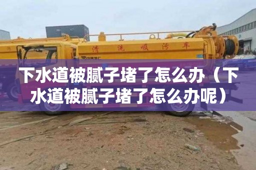 下水道被腻子堵了怎么办（下水道被腻子堵了怎么办呢）