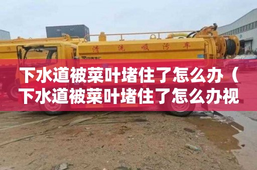 下水道被菜叶堵住了怎么办（下水道被菜叶堵住了怎么办视频）