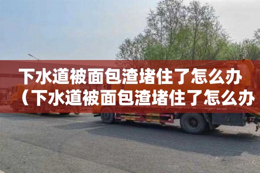 下水道被面包渣堵住了怎么办（下水道被面包渣堵住了怎么办啊）
