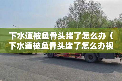 下水道被鱼骨头堵了怎么办（下水道被鱼骨头堵了怎么办视频）