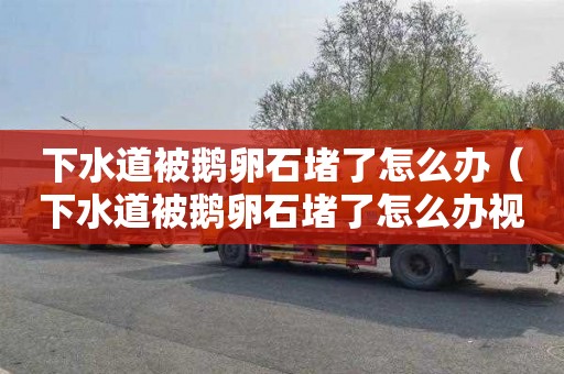 下水道被鹅卵石堵了怎么办（下水道被鹅卵石堵了怎么办视频）
