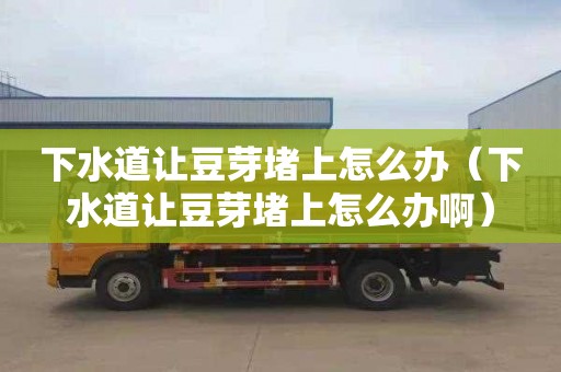 下水道让豆芽堵上怎么办（下水道让豆芽堵上怎么办啊）