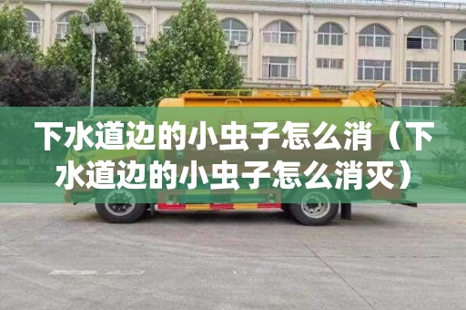 下水道边的小虫子怎么消（下水道边的小虫子怎么消灭）