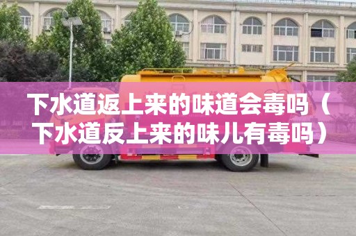 下水道返上来的味道会毒吗（下水道反上来的味儿有毒吗）