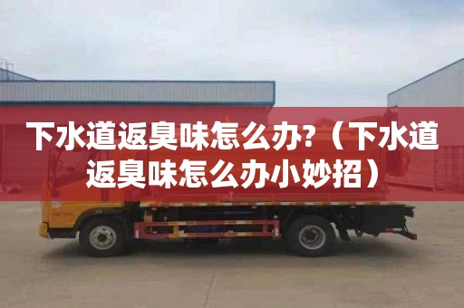 下水道返臭味怎么办?（下水道返臭味怎么办小妙招）