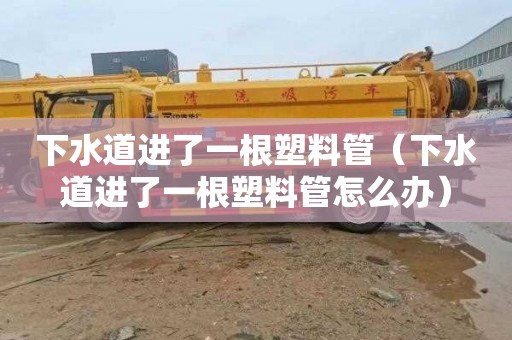 下水道进了一根塑料管（下水道进了一根塑料管怎么办）