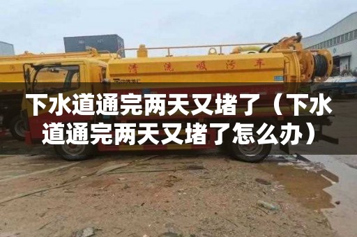 下水道通完两天又堵了（下水道通完两天又堵了怎么办）
