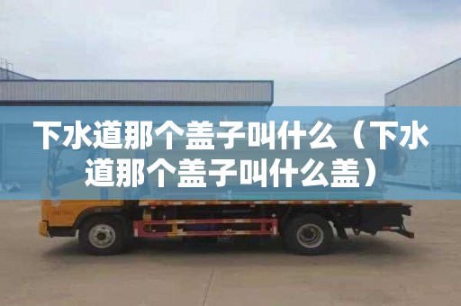 下水道那个盖子叫什么（下水道那个盖子叫什么盖）