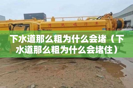 下水道那么粗为什么会堵（下水道那么粗为什么会堵住）