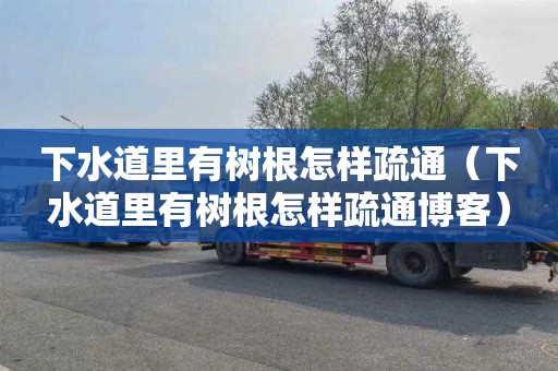 下水道里有树根怎样疏通（下水道里有树根怎样疏通博客）