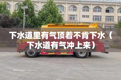 下水道里有气顶着不肯下水（下水道有气冲上来）