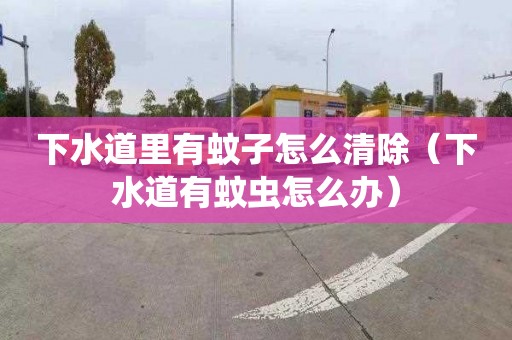下水道里有蚊子怎么清除（下水道有蚊虫怎么办）