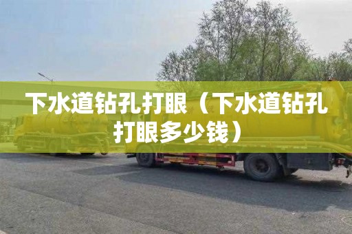 下水道钻孔打眼（下水道钻孔打眼多少钱）