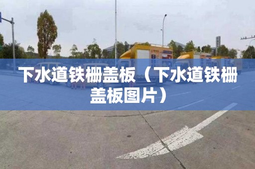 下水道铁栅盖板（下水道铁栅盖板图片）
