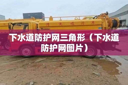 下水道防护网三角形（下水道防护网图片）