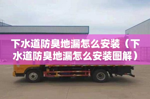 下水道防臭地漏怎么安装（下水道防臭地漏怎么安装图解）