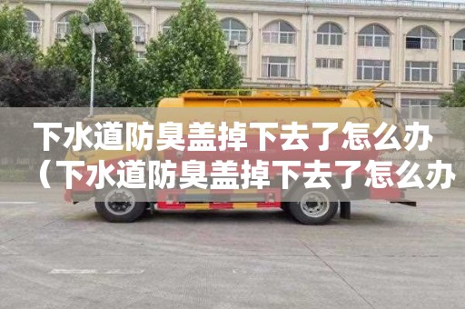 下水道防臭盖掉下去了怎么办（下水道防臭盖掉下去了怎么办呢）