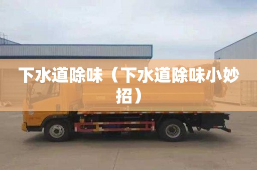 下水道除味（下水道除味小妙招）