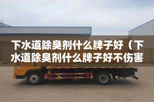 下水道除臭剂什么牌子好（下水道除臭剂什么牌子好不伤害管）