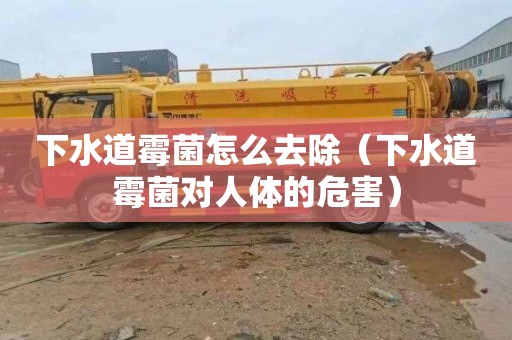 下水道霉菌怎么去除（下水道霉菌对人体的危害）