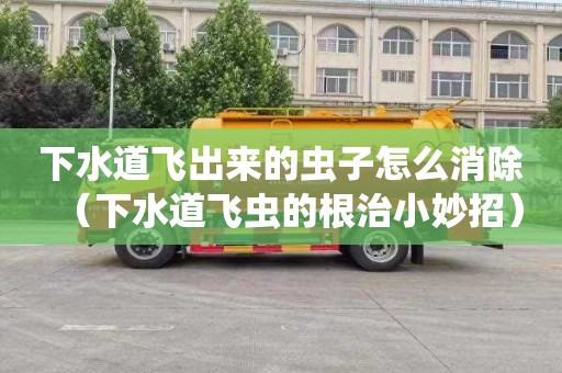 下水道飞出来的虫子怎么消除（下水道飞虫的根治小妙招）