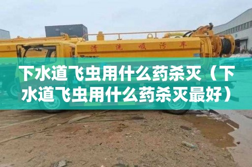 下水道飞虫用什么药杀灭（下水道飞虫用什么药杀灭最好）