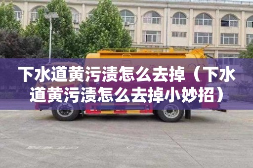 下水道黄污渍怎么去掉（下水道黄污渍怎么去掉小妙招）