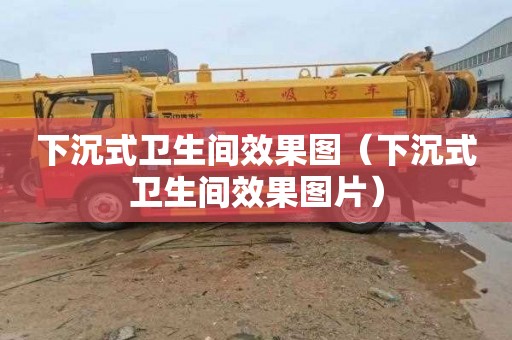 下沉式卫生间效果图（下沉式卫生间效果图片）