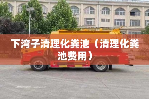下湾子清理化粪池（清理化粪池费用）