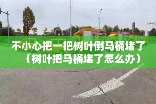 不小心把一把树叶倒马桶堵了（树叶把马桶堵了怎么办）