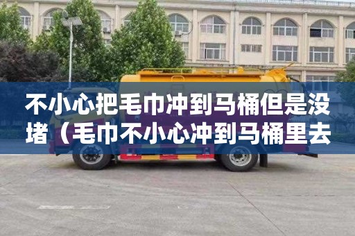 不小心把毛巾冲到马桶但是没堵（毛巾不小心冲到马桶里去了没有堵）