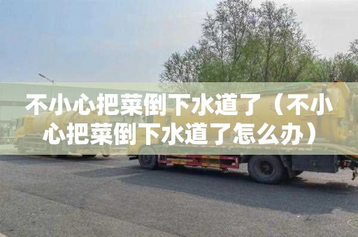 不小心把菜倒下水道了（不小心把菜倒下水道了怎么办）