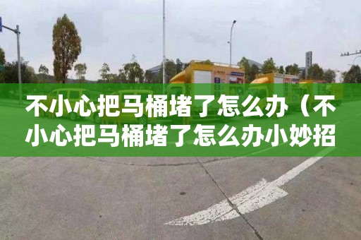 不小心把马桶堵了怎么办（不小心把马桶堵了怎么办小妙招）