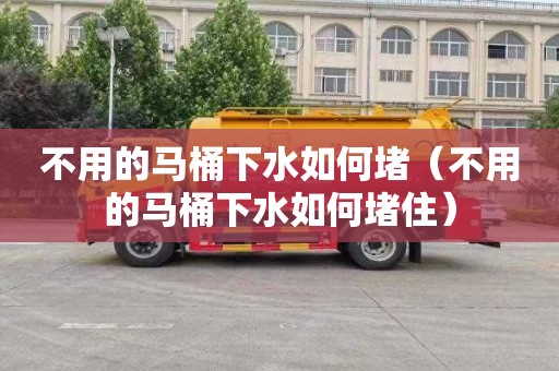 不用的马桶下水如何堵（不用的马桶下水如何堵住）