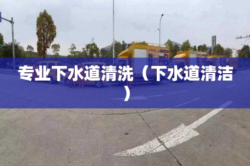 专业下水道清洗（下水道清洁）