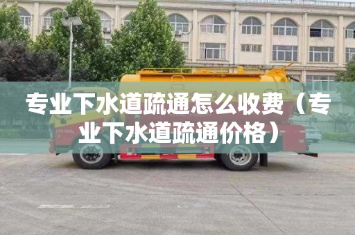 专业下水道疏通怎么收费（专业下水道疏通价格）