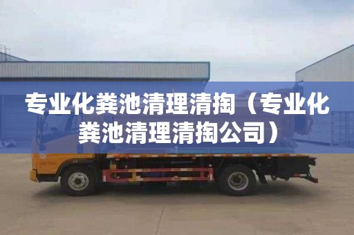 专业化粪池清理清掏（专业化粪池清理清掏公司）
