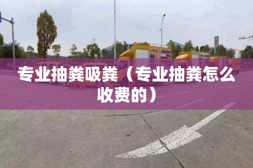 专业抽粪吸粪（专业抽粪怎么收费的）